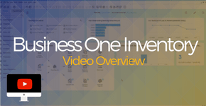 Business One Inventory Video